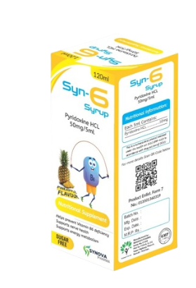 Syn-6 Vitamin B6 Syrup